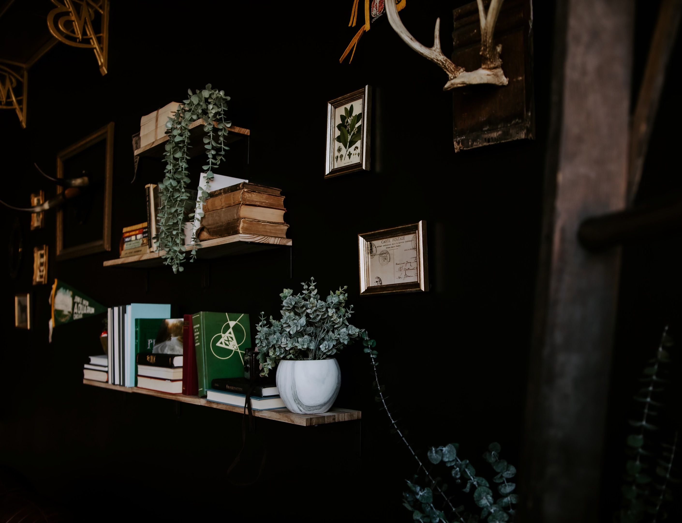 The Storefront - Dark moody space