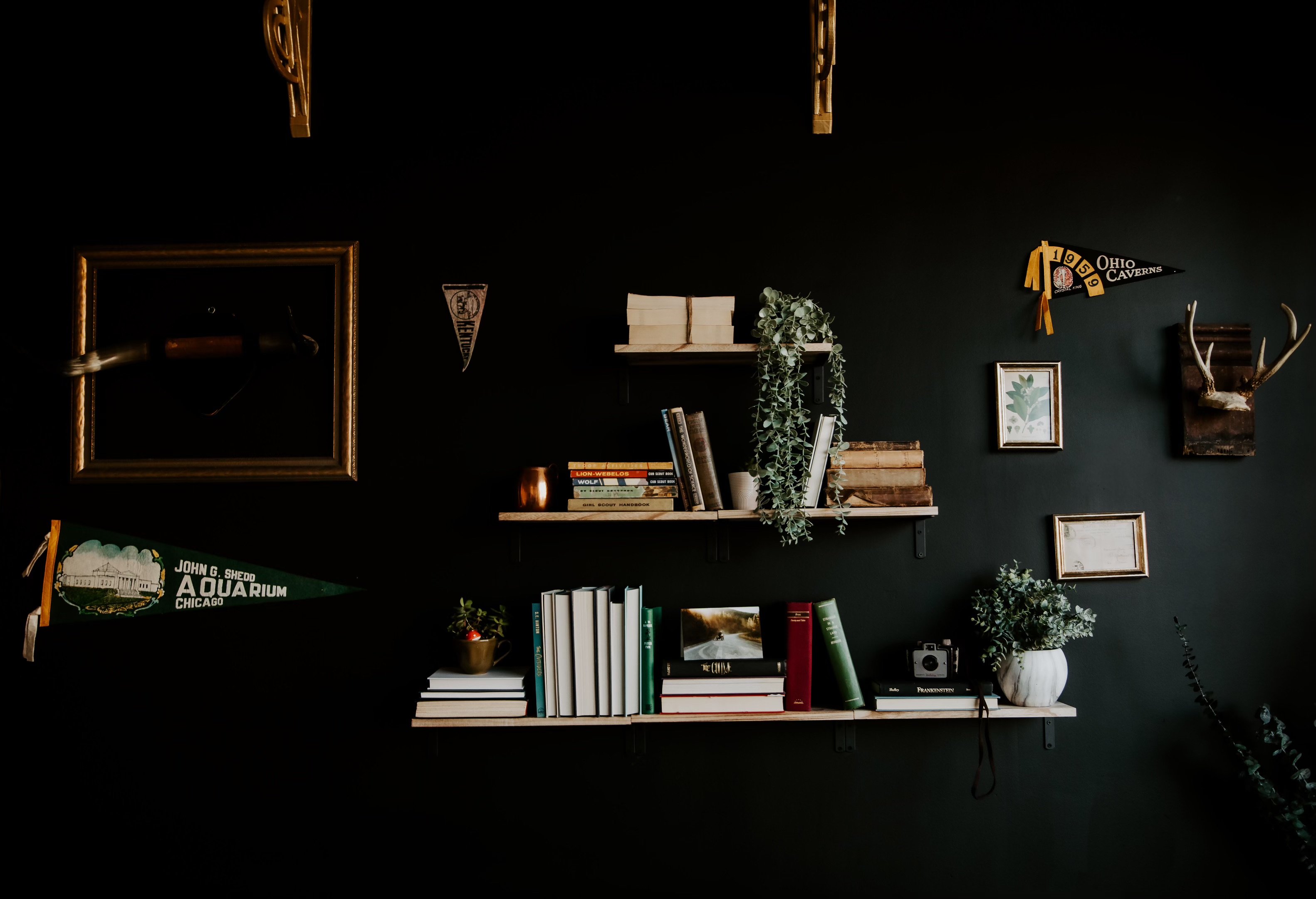 The Storefront - Dark moody space