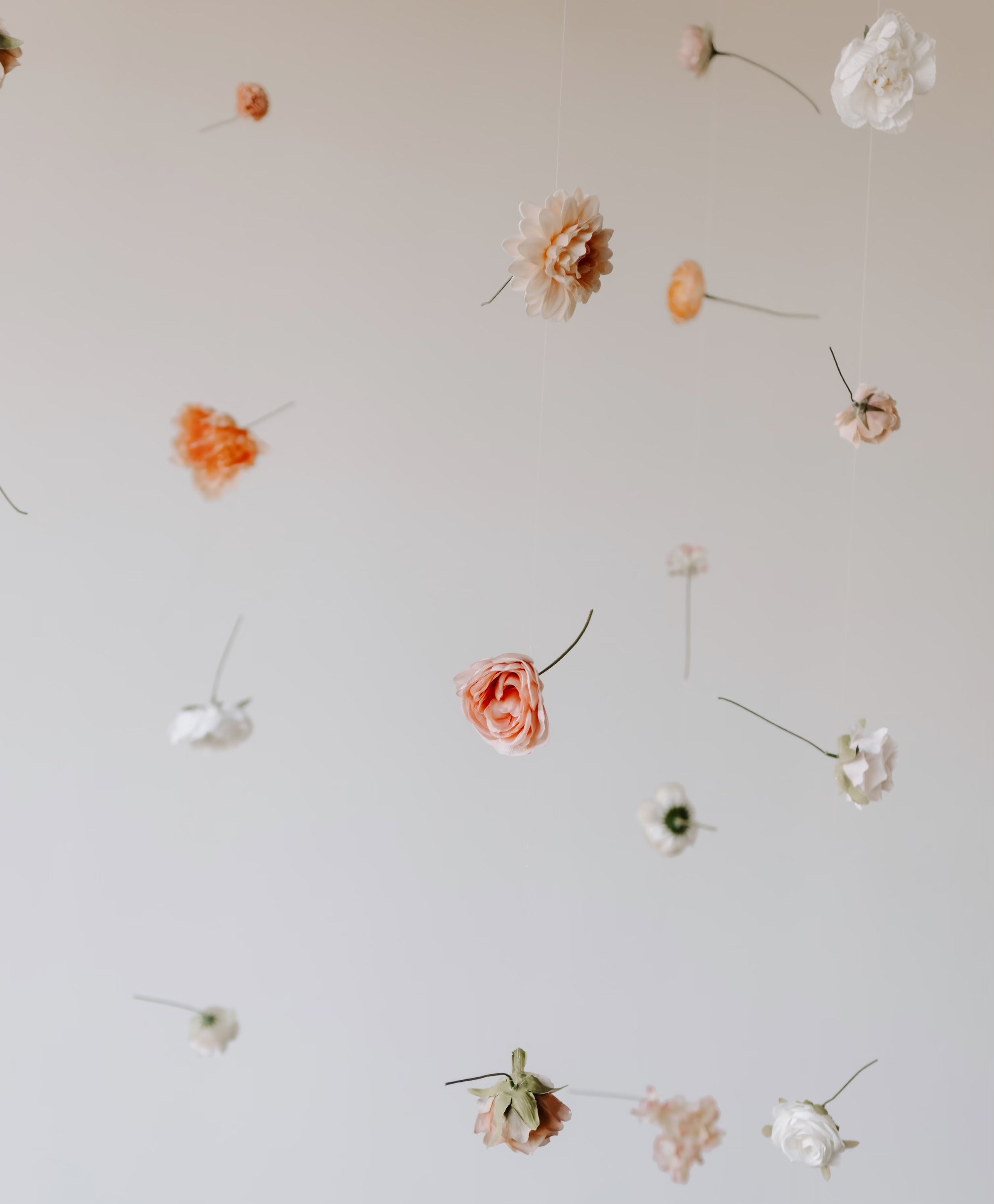 The Storefront - Bright